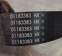 BELT #5112-3217-78
