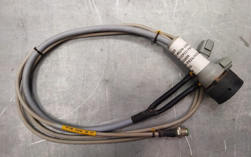 [3151829] CABLE #9106-2206-39
