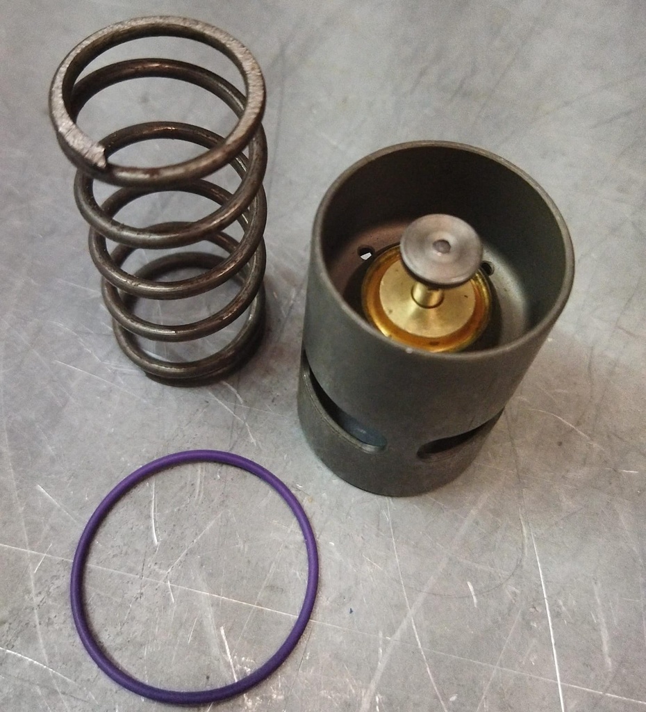 [3146049] THERMOSTATIC #2902-0350-00